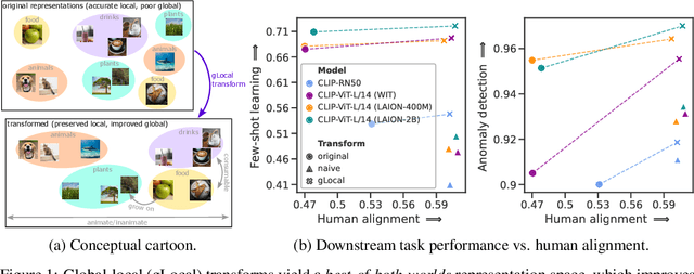 Figure 1 for Improving neural network representations using human similarity judgments