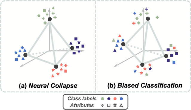 Figure 1 for Navigate Beyond Shortcuts: Debiased Learning through the Lens of Neural Collapse