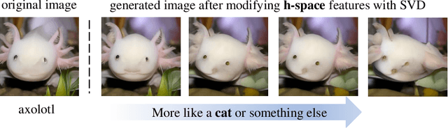 Figure 2 for Using diffusion model as constraint: Empower Image Restoration Network Training with Diffusion Model