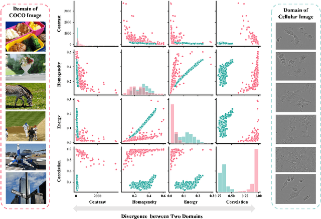 Figure 1 for CUPre: Cross-domain Unsupervised Pre-training for Few-Shot Cell Segmentation