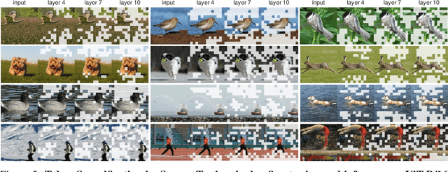 Figure 4 for Sparse-Tuning: Adapting Vision Transformers with Efficient Fine-tuning and Inference