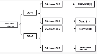 Figure 1 for Survival Prediction Across Diverse Cancer Types Using Neural Networks