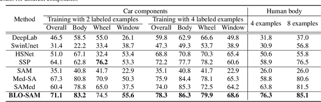 Figure 4 for BLO-SAM: Bi-level Optimization Based Overfitting-Preventing Finetuning of SAM