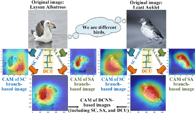 Figure 1 for DCNN: Dual Cross-current Neural Networks Realized Using An Interactive Deep Learning Discriminator for Fine-grained Objects