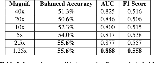 Figure 3 for Reducing Histopathology Slide Magnification Improves the Accuracy and Speed of Ovarian Cancer Subtyping