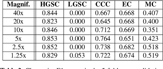 Figure 4 for Reducing Histopathology Slide Magnification Improves the Accuracy and Speed of Ovarian Cancer Subtyping