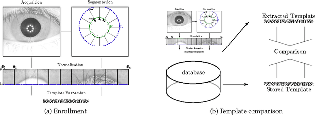 Figure 1 for Experimental analysis regarding the influence of iris segmentation on the recognition rate