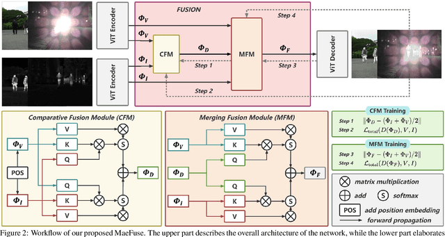 Figure 3 for MaeFuse: Transferring Omni Features with Pretrained Masked Autoencoders for Infrared and Visible Image Fusion via Guided Training