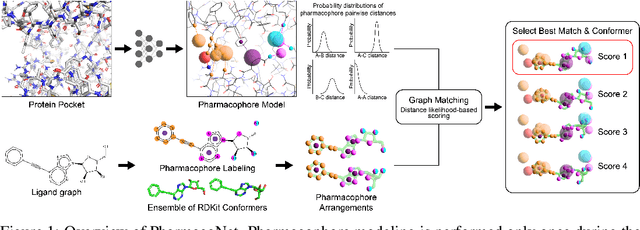 Figure 1 for PharmacoNet: Accelerating Large-Scale Virtual Screening by Deep Pharmacophore Modeling