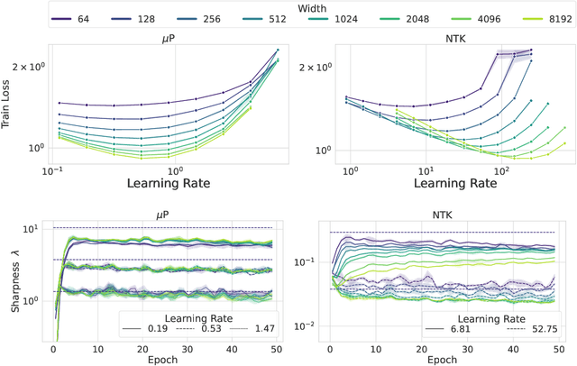 Figure 1 for Why do Learning Rates Transfer? Reconciling Optimization and Scaling Limits for Deep Learning