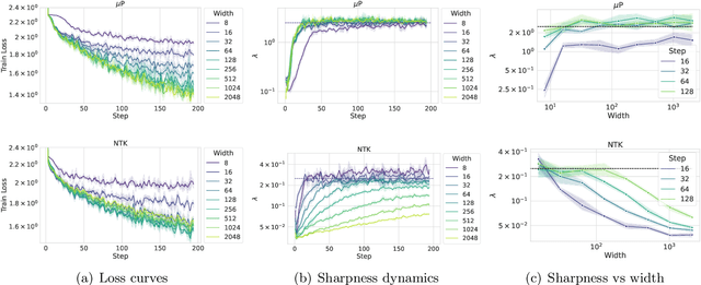 Figure 2 for Why do Learning Rates Transfer? Reconciling Optimization and Scaling Limits for Deep Learning