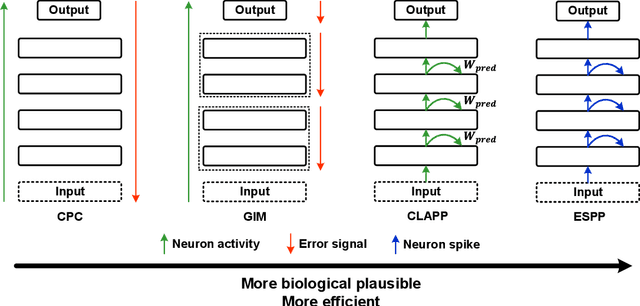 Figure 1 for EchoSpike Predictive Plasticity: An Online Local Learning Rule for Spiking Neural Networks