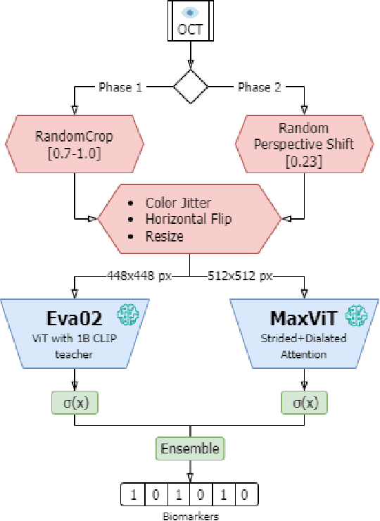 Figure 1 for Ophthalmic Biomarker Detection Using Ensembled Vision Transformers -- Winning Solution to IEEE SPS VIP Cup 2023