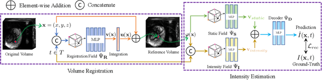 Figure 1 for Dynamic Neural Fields for Learning Atlases of 4D Fetal MRI Time-series