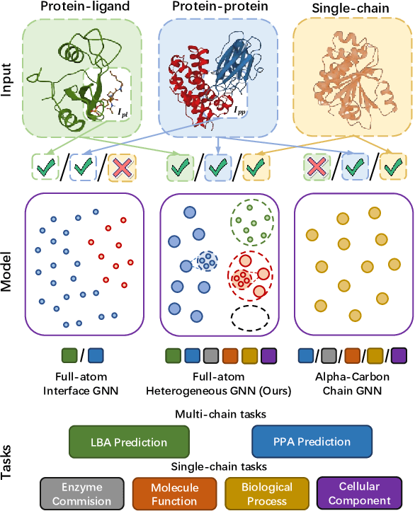 Figure 1 for HeMeNet: Heterogeneous Multichannel Equivariant Network for Protein Multitask Learning