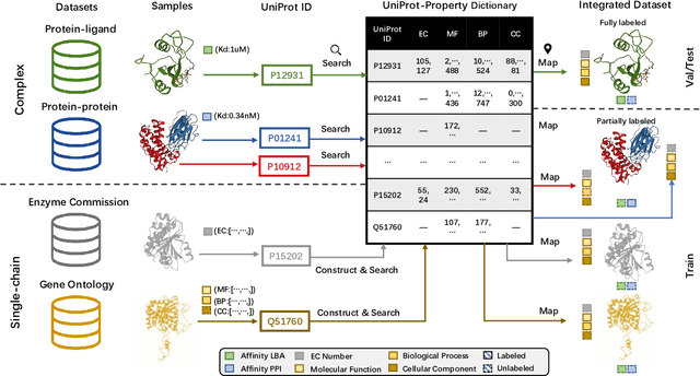 Figure 3 for HeMeNet: Heterogeneous Multichannel Equivariant Network for Protein Multitask Learning