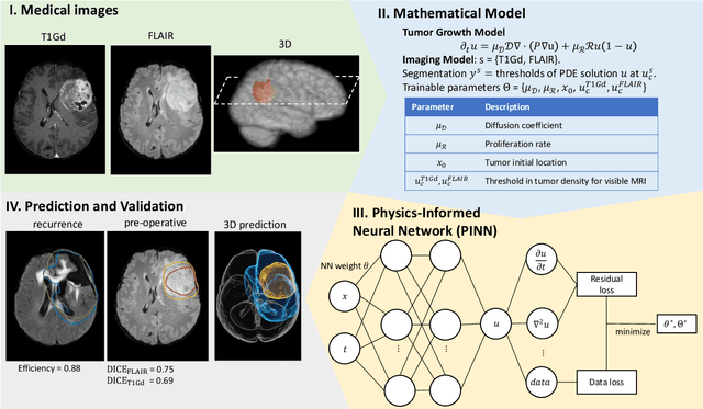 Figure 1 for Personalized Predictions of Glioblastoma Infiltration: Mathematical Models, Physics-Informed Neural Networks and Multimodal Scans