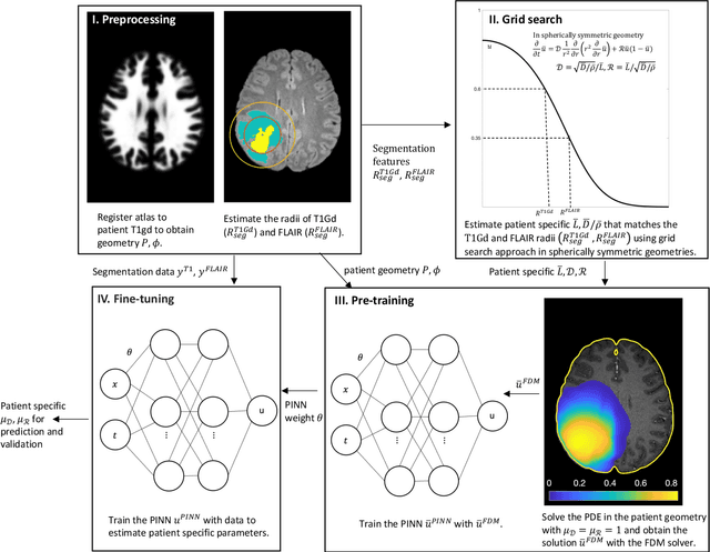 Figure 3 for Personalized Predictions of Glioblastoma Infiltration: Mathematical Models, Physics-Informed Neural Networks and Multimodal Scans