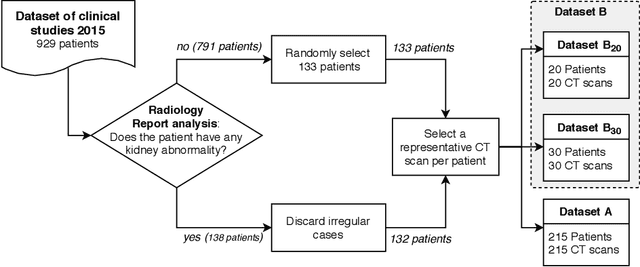 Figure 1 for Kidney abnormality segmentation in thorax-abdomen CT scans