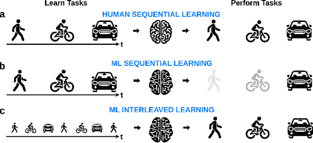 Figure 1 for Active Dendrites Enable Efficient Continual Learning in Time-To-First-Spike Neural Networks