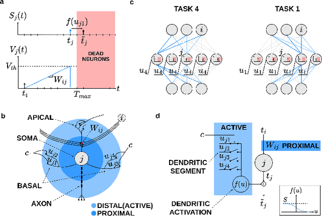 Figure 2 for Active Dendrites Enable Efficient Continual Learning in Time-To-First-Spike Neural Networks