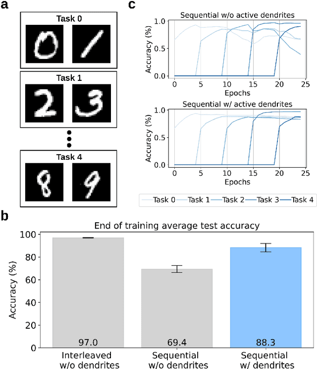 Figure 4 for Active Dendrites Enable Efficient Continual Learning in Time-To-First-Spike Neural Networks