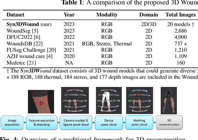 Figure 2 for Syn3DWound: A Synthetic Dataset for 3D Wound Bed Analysis