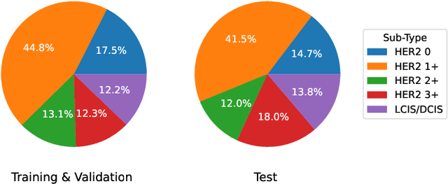 Figure 2 for Improved HER2 Tumor Segmentation with Subtype Balancing using Deep Generative Networks