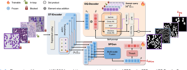 Figure 2 for UN-SAM: Universal Prompt-Free Segmentation for Generalized Nuclei Images