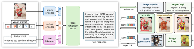 Figure 3 for VisionLLM v2: An End-to-End Generalist Multimodal Large Language Model for Hundreds of Vision-Language Tasks