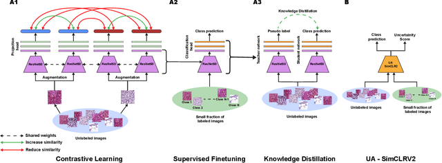 Figure 1 for Contrastive Deep Encoding Enables Uncertainty-aware Machine-learning-assisted Histopathology