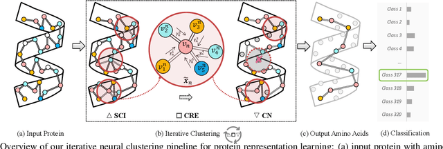 Figure 1 for Clustering for Protein Representation Learning