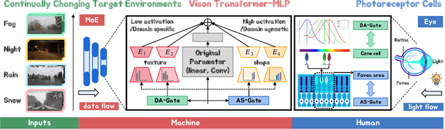 Figure 1 for Decomposing the Neurons: Activation Sparsity via Mixture of Experts for Continual Test Time Adaptation