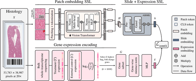Figure 3 for Transcriptomics-guided Slide Representation Learning in Computational Pathology