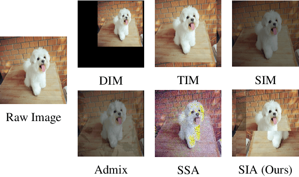 Figure 1 for Structure Invariant Transformation for better Adversarial Transferability