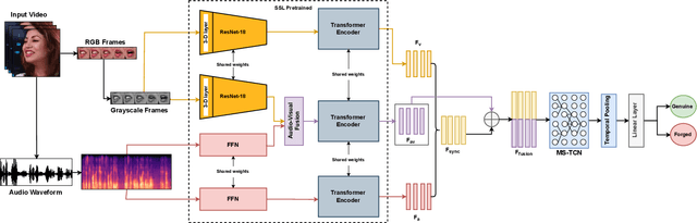 Figure 2 for AV-Lip-Sync+: Leveraging AV-HuBERT to Exploit Multimodal Inconsistency for Video Deepfake Detection