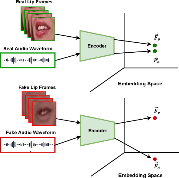 Figure 3 for AV-Lip-Sync+: Leveraging AV-HuBERT to Exploit Multimodal Inconsistency for Video Deepfake Detection