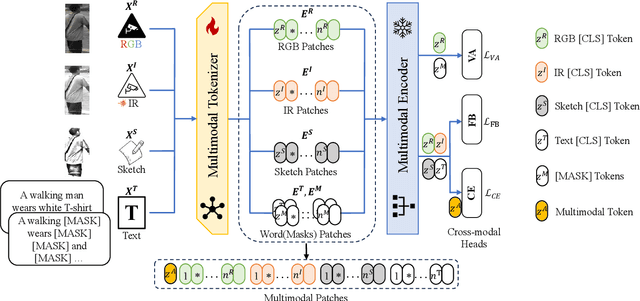 Figure 3 for All in One Framework for Multimodal Re-identification in the Wild