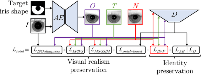 Figure 2 for EyePreserve: Identity-Preserving Iris Synthesis