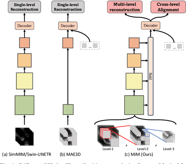 Figure 1 for MiM: Mask in Mask Self-Supervised Pre-Training for 3D Medical Image Analysis