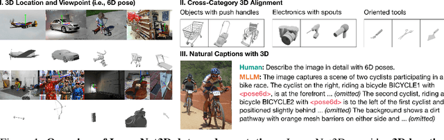 Figure 1 for ImageNet3D: Towards General-Purpose Object-Level 3D Understanding