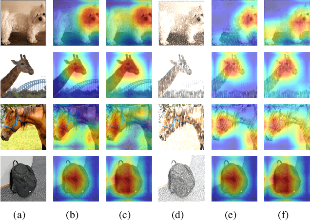 Figure 3 for MetaDefa: Meta-learning based on Domain Enhancement and Feature Alignment for Single Domain Generalization