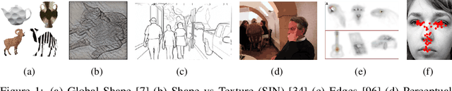 Figure 1 for Dual Thinking and Perceptual Analysis of Deep Learning Models using Human Adversarial Examples