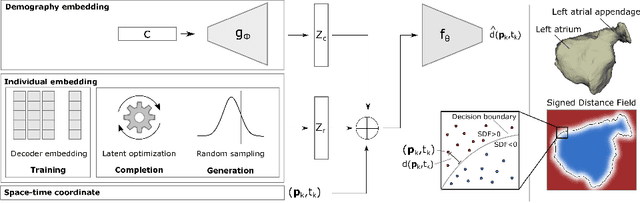 Figure 1 for Spatio-temporal neural distance fields for conditional generative modeling of the heart