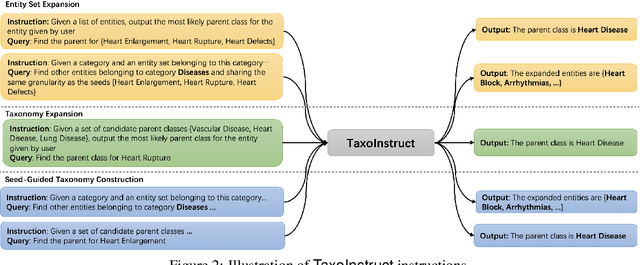 Figure 3 for A Unified Taxonomy-Guided Instruction Tuning Framework for Entity Set Expansion and Taxonomy Expansion