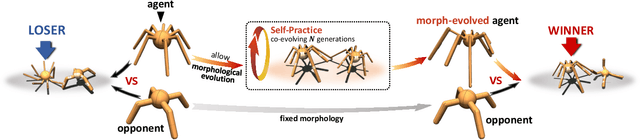 Figure 1 for CompetEvo: Towards Morphological Evolution from Competition