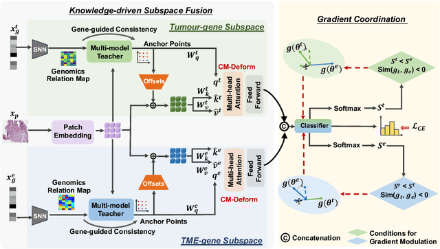 Figure 1 for Knowledge-driven Subspace Fusion and Gradient Coordination for Multi-modal Learning