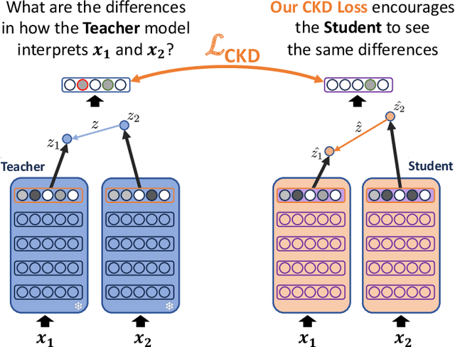 Figure 1 for Comparative Knowledge Distillation