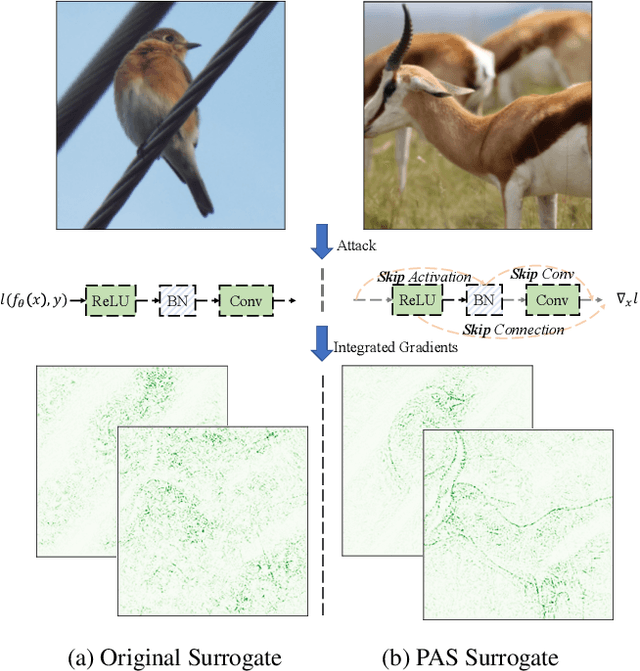 Figure 1 for Backpropagation Path Search On Adversarial Transferability