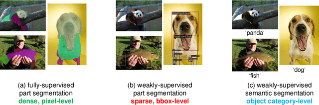 Figure 1 for WPS-SAM: Towards Weakly-Supervised Part Segmentation with Foundation Models